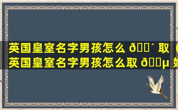 英国皇室名字男孩怎么 🌴 取（英国皇室名字男孩怎么取 🌵 好听）